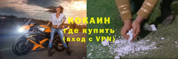 шишки Волоколамск